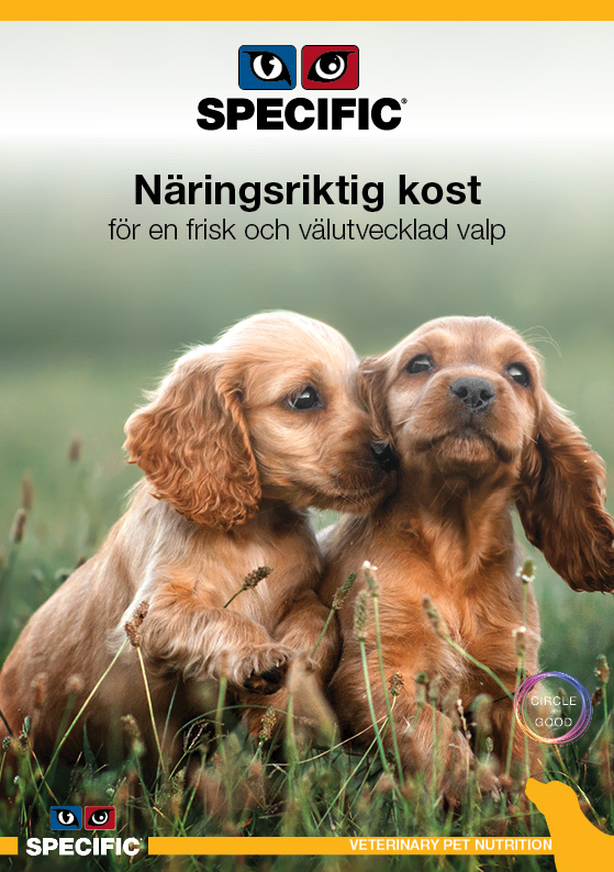 Folder om foder till valpar